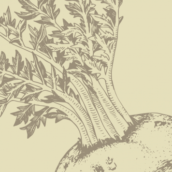 Boost NSP NSP-model 1121 | Afbeelding nr. 1