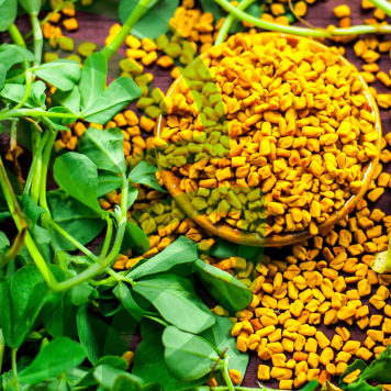 Fenugreek & Thyme NSP NSP-model 885 | Afbeelding nr. 1