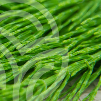 HSN-W NSP NSP-model 935 | Afbeelding nr. 1