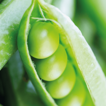 SmartMeal 2-pak NSP-model 65010 | Afbeelding nr. 1