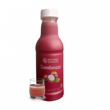 Zambroza NSP NSP-model 4104 | Afbeelding nr. 1