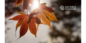 Herfst metabolische upgrade: welke supplementen helpen je metabolisme te versnellen Herfst metabolische upgrade: welke supplementen helpen je metabolisme te versnellen