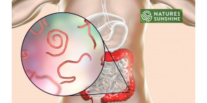 Hoe je parasieten en candidiasis veilig en natuurlijk kunt overwinnen: het NSP-programma