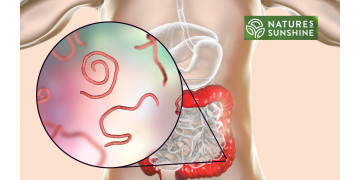 Hoe je parasieten en candidiasis veilig en natuurlijk kunt overwinnen: het NSP-programma