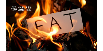 Waarom heeft het lichaam vet nodig? De rol van vetweefsel in toxicologische afweer