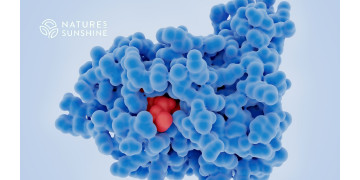 Een voedingsaanpak voor oncologisch herstel: hoe het lichaam te ondersteunen met behulp van NSP Een voedingsaanpak voor oncologisch herstel: hoe het lichaam te ondersteunen met behulp van NSP