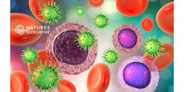 Hoe je immuniteit versterken in de zomer: natuurlijke oplossingen van NSP Hoe je immuniteit versterken in de zomer: natuurlijke oplossingen van NSP