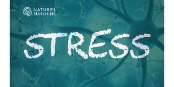 Stress en het zenuwstelsel: hoe het lichaam zich kan aanpassen en herstellen Stress en het zenuwstelsel: hoe het lichaam zich kan aanpassen en herstellen