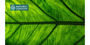 Slimme producten voor spataderen: de ervaring van NSP