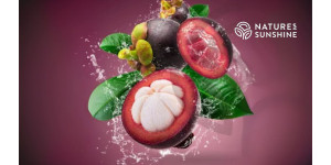 Paars schild: hoe Zambroza de vasculaire gezondheid bevordert en veroudering vertraagt